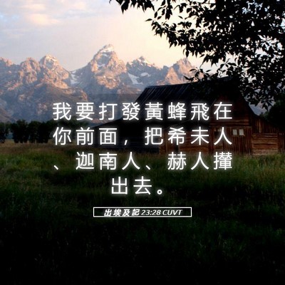 Picture 05 - 出 埃 及 記 23:28 CUVT - 我 要 打 發 黃 蜂 飛 在 你 前 面 ， - Bible Verse Picture