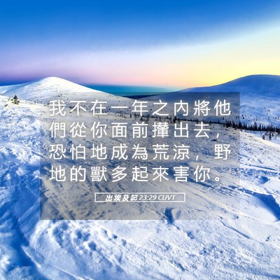 Picture 05 - 出 埃 及 記 23:29 CUVT - 我 不 在 一 年 之 內 將 他 們 從 你 - Bible Verse Picture