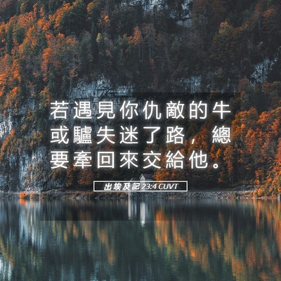 Picture 05 - 出 埃 及 記 23:4 CUVT - 若 遇 見 你 仇 敵 的 牛 或 驢 失 迷 - Bible Verse Picture