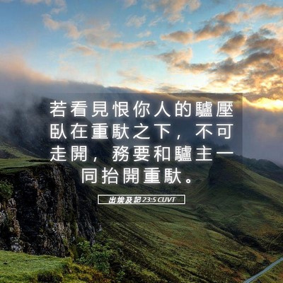 Picture 05 - 出 埃 及 記 23:5 CUVT - 若 看 見 恨 你 人 的 驢 壓 臥 在 重 - Bible Verse Picture