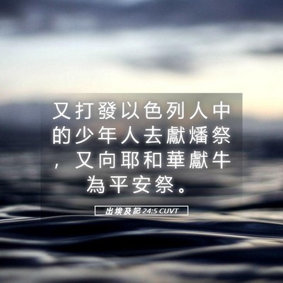 Picture 05 - 出 埃 及 記 24:5 CUVT - 又 打 發 以 色 列 人 中 的 少 年 人 - Bible Verse Picture
