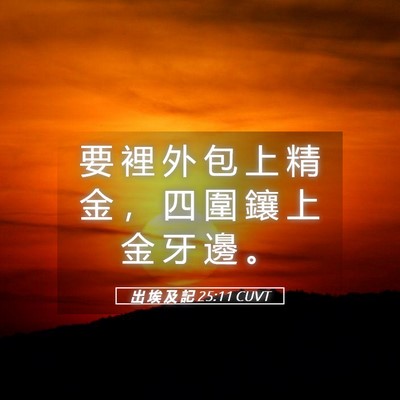 Picture 05 - 出 埃 及 記 25:11 CUVT - 要 裡 外 包 上 精 金 ， 四 圍 鑲 上 - Bible Verse Picture
