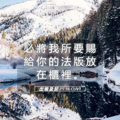 Picture 05 - 出 埃 及 記 25:16 CUVT - 必 將 我 所 要 賜 給 你 的 法 版 放 - Bible Verse Picture