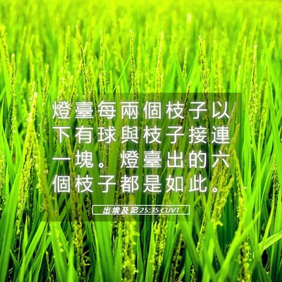 Picture 05 - 出 埃 及 記 25:35 CUVT - 燈 臺 每 兩 個 枝 子 以 下 有 球 與 - Bible Verse Picture