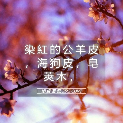 Picture 05 - 出 埃 及 記 25:5 CUVT - 染 紅 的 公 羊 皮 ， 海 狗 皮 ， 皂 - Bible Verse Picture