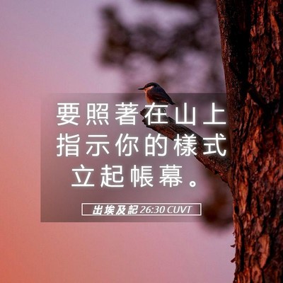 Picture 05 - 出 埃 及 記 26:30 CUVT - 要 照 著 在 山 上 指 示 你 的 樣 式 - Bible Verse Picture