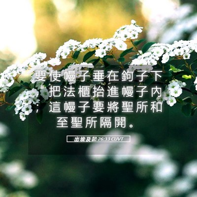 Picture 05 - 出 埃 及 記 26:33 CUVT - 要 使 幔 子 垂 在 鉤 子 下 ， 把 法 - Bible Verse Picture