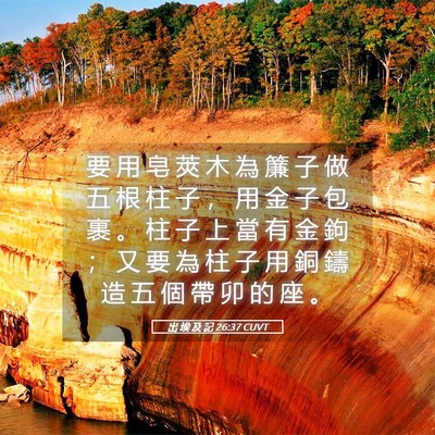 Picture 05 - 出 埃 及 記 26:37 CUVT - 要 用 皂 莢 木 為 簾 子 做 五 根 柱 - Bible Verse Picture
