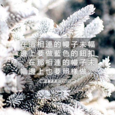 Picture 05 - 出 埃 及 記 26:4 CUVT - 在 這 相 連 的 幔 子 末 幅 邊 上 要 - Bible Verse Picture