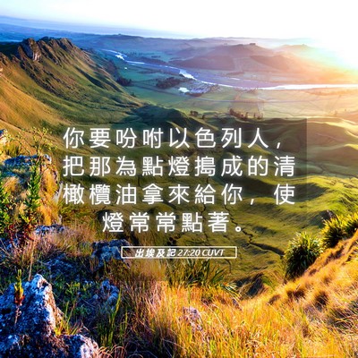 Picture 05 - 出 埃 及 記 27:20 CUVT - 你 要 吩 咐 以 色 列 人 ， 把 那 為 - Bible Verse Picture