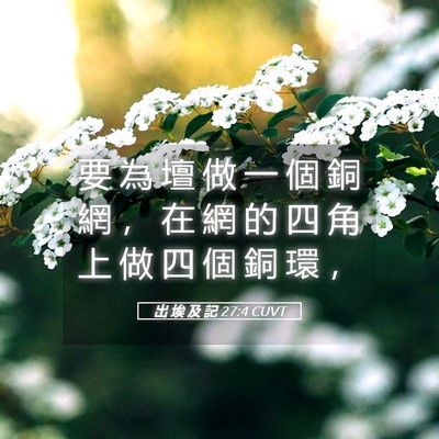 Picture 05 - 出 埃 及 記 27:4 CUVT - 要 為 壇 做 一 個 銅 網 ， 在 網 的 - Bible Verse Picture