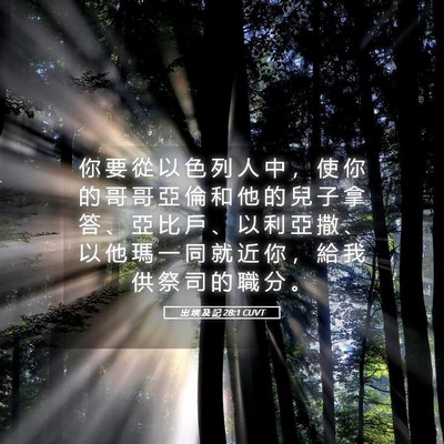 Picture 05 - 出 埃 及 記 28:1 CUVT - 你 要 從 以 色 列 人 中 ， 使 你 的 - Bible Verse Picture