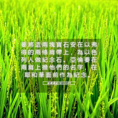 Picture 05 - 出 埃 及 記 28:12 CUVT - 要 將 這 兩 塊 寶 石 安 在 以 弗 得 - Bible Verse Picture
