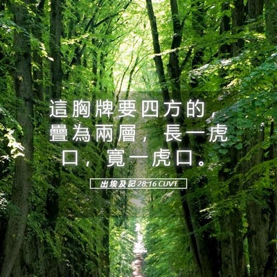 Picture 05 - 出 埃 及 記 28:16 CUVT - 這 胸 牌 要 四 方 的 ， 疊 為 兩 層 - Bible Verse Picture