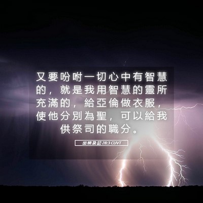 Picture 05 - 出 埃 及 記 28:3 CUVT - 又 要 吩 咐 一 切 心 中 有 智 慧 的 - Bible Verse Picture
