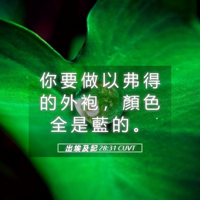 Picture 05 - 出 埃 及 記 28:31 CUVT - 你 要 做 以 弗 得 的 外 袍 ， 顏 色 - Bible Verse Picture