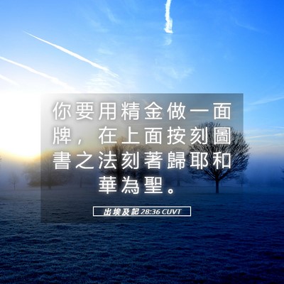 Picture 05 - 出 埃 及 記 28:36 CUVT - 你 要 用 精 金 做 一 面 牌 ， 在 上 - Bible Verse Picture