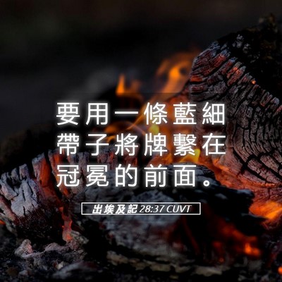 Picture 05 - 出 埃 及 記 28:37 CUVT - 要 用 一 條 藍 細 帶 子 將 牌 繫 在 - Bible Verse Picture