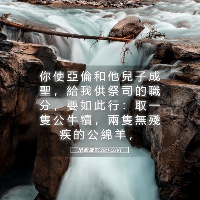 Picture 05 - 出 埃 及 記 29:1 CUVT - 你 使 亞 倫 和 他 兒 子 成 聖 ， 給 - Bible Verse Picture