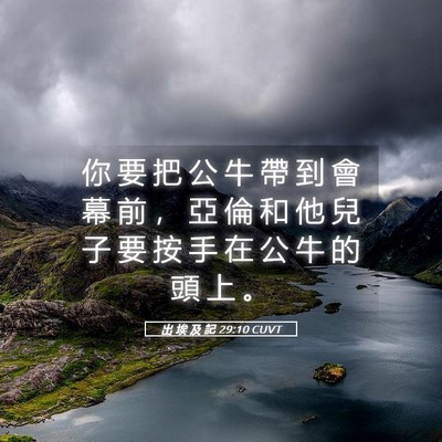Picture 05 - 出 埃 及 記 29:10 CUVT - 你 要 把 公 牛 帶 到 會 幕 前 ， 亞 - Bible Verse Picture