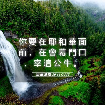 Picture 05 - 出 埃 及 記 29:11 CUVT - 你 要 在 耶 和 華 面 前 ， 在 會 幕 - Bible Verse Picture