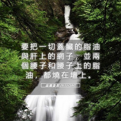Picture 05 - 出 埃 及 記 29:13 CUVT - 要 把 一 切 蓋 臟 的 脂 油 與 肝 上 - Bible Verse Picture