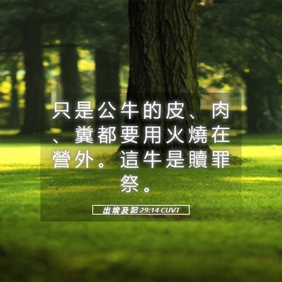 Picture 05 - 出 埃 及 記 29:14 CUVT - 只 是 公 牛 的 皮 、 肉 、 糞 都 要 - Bible Verse Picture