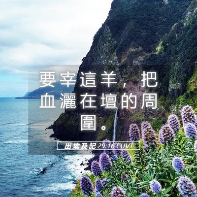 Picture 05 - 出 埃 及 記 29:16 CUVT - 要 宰 這 羊 ， 把 血 灑 在 壇 的 周 - Bible Verse Picture