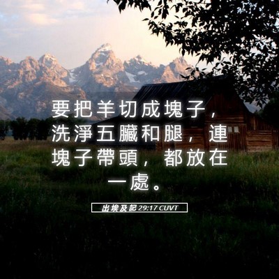 Picture 05 - 出 埃 及 記 29:17 CUVT - 要 把 羊 切 成 塊 子 ， 洗 淨 五 臟 - Bible Verse Picture