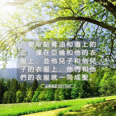 Picture 05 - 出 埃 及 記 29:21 CUVT - 你 要 取 點 膏 油 和 壇 上 的 血 ， - Bible Verse Picture