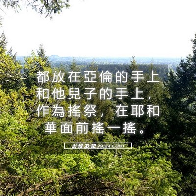Picture 05 - 出 埃 及 記 29:24 CUVT - 都 放 在 亞 倫 的 手 上 和 他 兒 子 - Bible Verse Picture