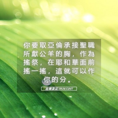 Picture 05 - 出 埃 及 記 29:26 CUVT - 你 要 取 亞 倫 承 接 聖 職 所 獻 公 - Bible Verse Picture