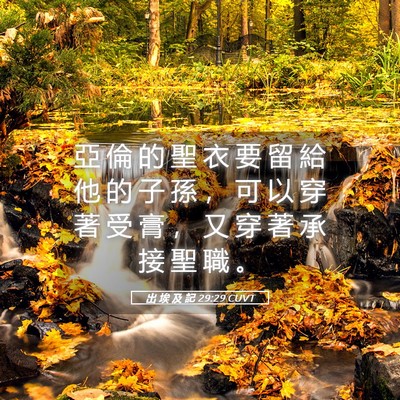 Picture 05 - 出 埃 及 記 29:29 CUVT - 亞 倫 的 聖 衣 要 留 給 他 的 子 孫 - Bible Verse Picture