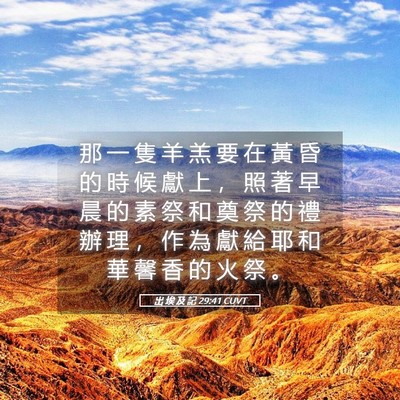 Picture 05 - 出 埃 及 記 29:41 CUVT - 那 一 隻 羊 羔 要 在 黃 昏 的 時 候 - Bible Verse Picture