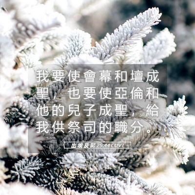 Picture 05 - 出 埃 及 記 29:44 CUVT - 我 要 使 會 幕 和 壇 成 聖 ， 也 要 - Bible Verse Picture