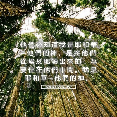 Picture 05 - 出 埃 及 記 29:46 CUVT - 他 們 必 知 道 我 是 耶 和 華 ─ 他 - Bible Verse Picture