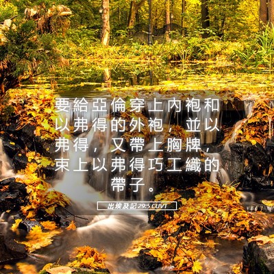 Picture 05 - 出 埃 及 記 29:5 CUVT - 要 給 亞 倫 穿 上 內 袍 和 以 弗 得 - Bible Verse Picture