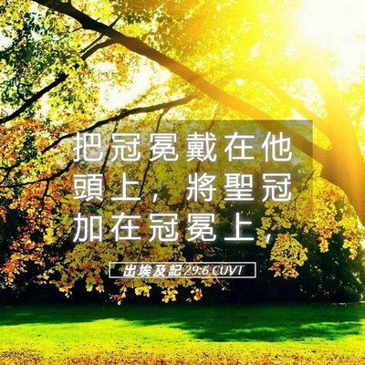 Picture 05 - 出 埃 及 記 29:6 CUVT - 把 冠 冕 戴 在 他 頭 上 ， 將 聖 冠 - Bible Verse Picture