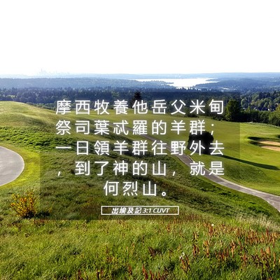 Picture 05 - 出 埃 及 記 3:1 CUVT - 摩 西 牧 養 他 岳 父 米 甸 祭 司 葉 - Bible Verse Picture