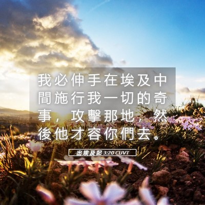 Picture 05 - 出 埃 及 記 3:20 CUVT - 我 必 伸 手 在 埃 及 中 間 施 行 我 - Bible Verse Picture