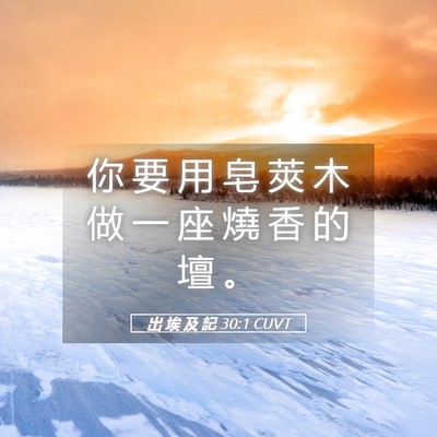 Picture 05 - 出 埃 及 記 30:1 CUVT - 你 要 用 皂 莢 木 做 一 座 燒 香 的 - Bible Verse Picture