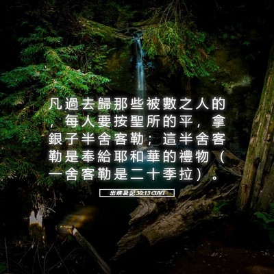 Picture 05 - 出 埃 及 記 30:13 CUVT - 凡 過 去 歸 那 些 被 數 之 人 的 ， - Bible Verse Picture