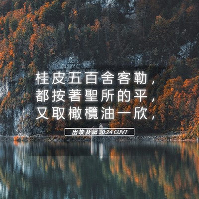Picture 05 - 出 埃 及 記 30:24 CUVT - 桂 皮 五 百 舍 客 勒 ， 都 按 著 聖 - Bible Verse Picture