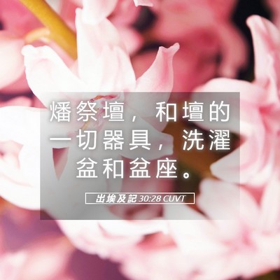 Picture 05 - 出 埃 及 記 30:28 CUVT - 燔 祭 壇 ， 和 壇 的 一 切 器 具 ， - Bible Verse Picture