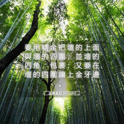 Picture 05 - 出 埃 及 記 30:3 CUVT - 要 用 精 金 把 壇 的 上 面 與 壇 的 - Bible Verse Picture