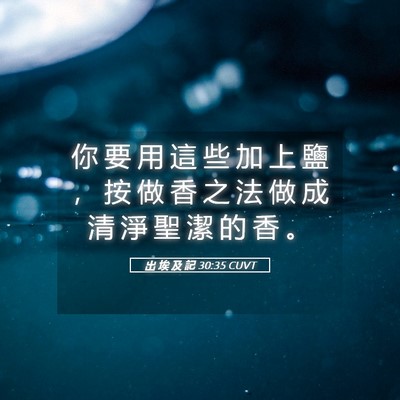 Picture 05 - 出 埃 及 記 30:35 CUVT - 你 要 用 這 些 加 上 鹽 ， 按 做 香 - Bible Verse Picture