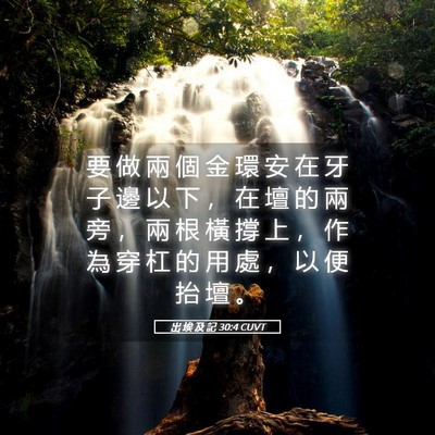 Picture 05 - 出 埃 及 記 30:4 CUVT - 要 做 兩 個 金 環 安 在 牙 子 邊 以 - Bible Verse Picture
