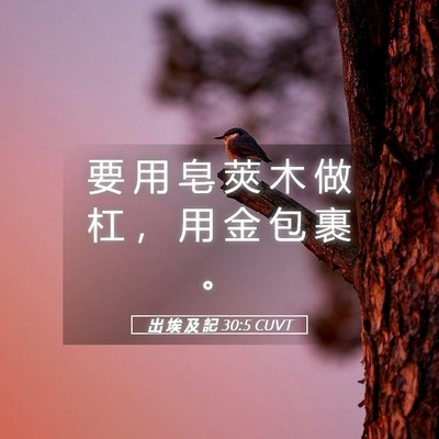 Picture 05 - 出 埃 及 記 30:5 CUVT - 要 用 皂 莢 木 做 杠 ， 用 金 包 裹 - Bible Verse Picture