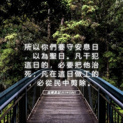 Picture 05 - 出 埃 及 記 31:14 CUVT - 所 以 你 們 要 守 安 息 日 ， 以 為 - Bible Verse Picture
