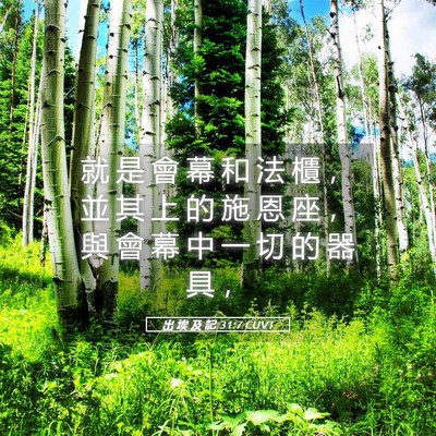Picture 05 - 出 埃 及 記 31:7 CUVT - 就 是 會 幕 和 法 櫃 ， 並 其 上 的 - Bible Verse Picture